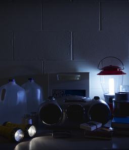Review your homeowner's insurance policy so you know what damage from a power outage might be covered.