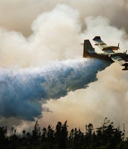 Water bomber plane putting out a forest fire